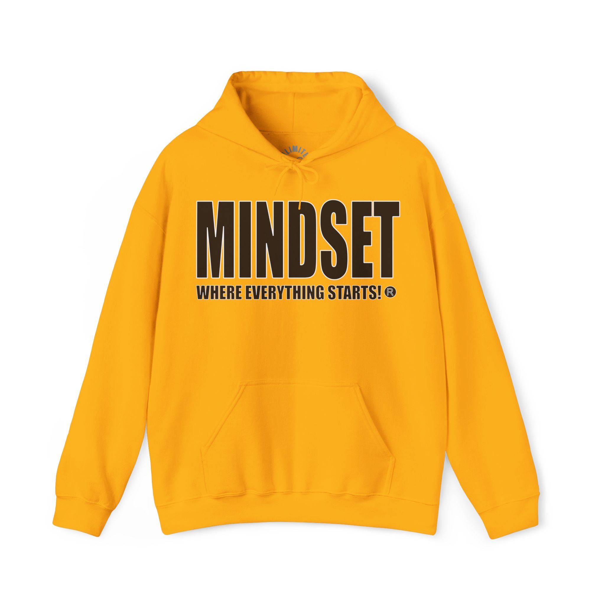 Mindset Trademarked Hoodie  (NFL Inspired Steelers' Edition)