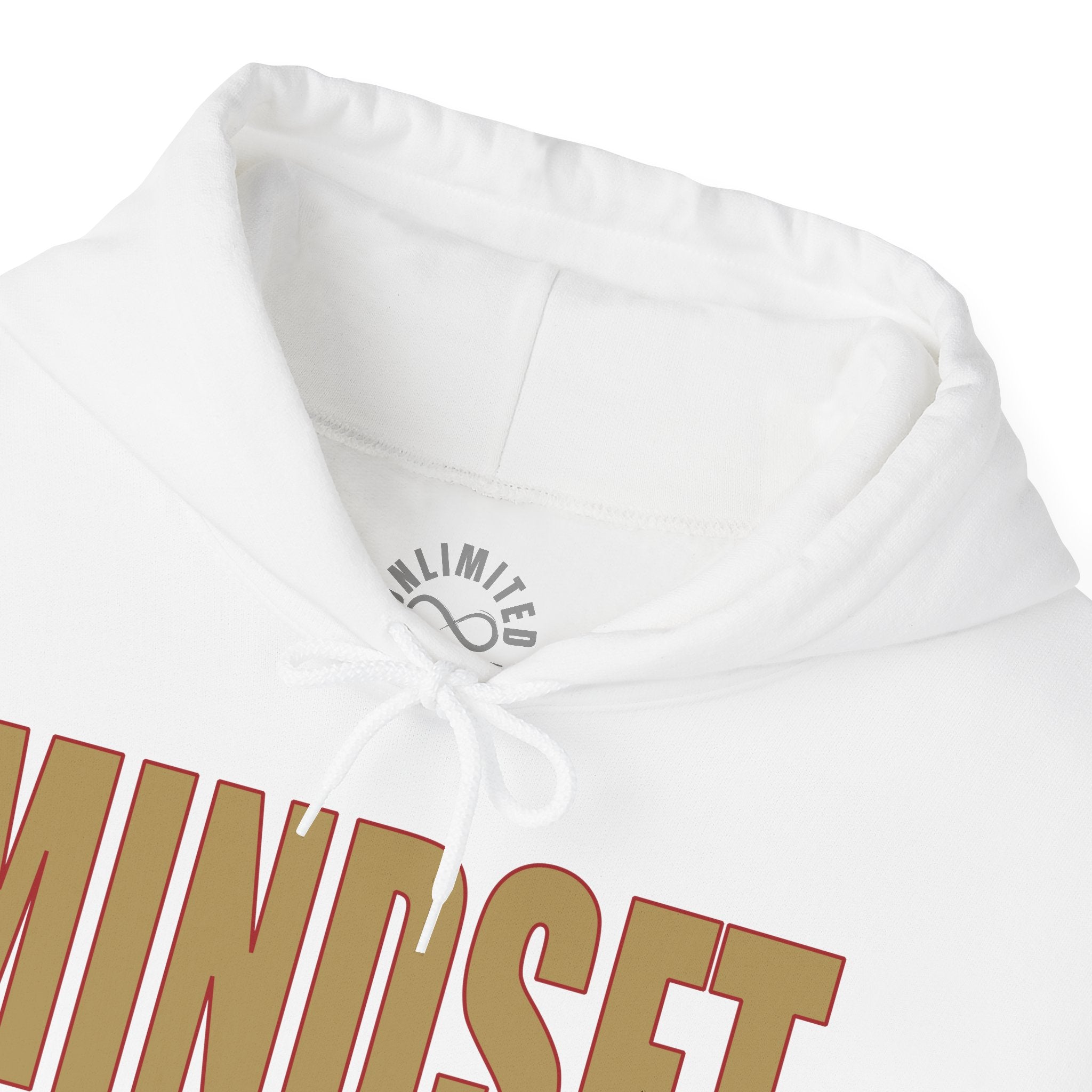 Mindset Trademarked Hoodie  (NFL Inspired 49ers' Edition)