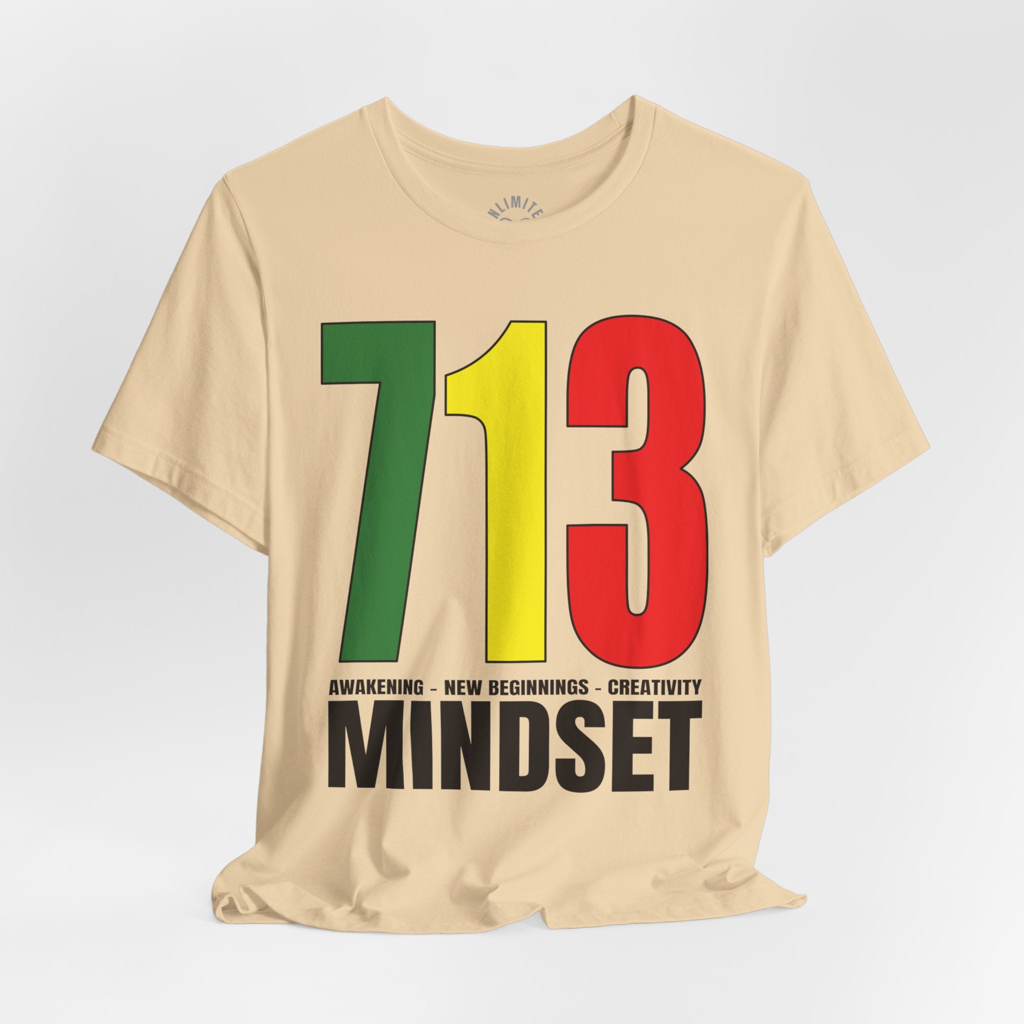 713 Mindset T-Shirt (GYRB Logo)