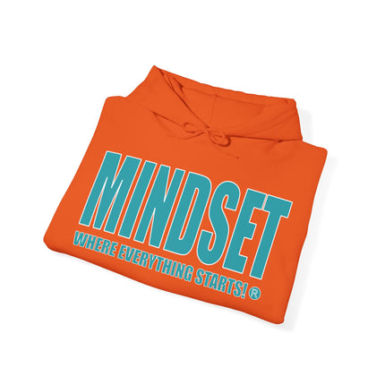 Mindset Trademarked Hoodie  (NFL Inspired Dolphins' Edition)