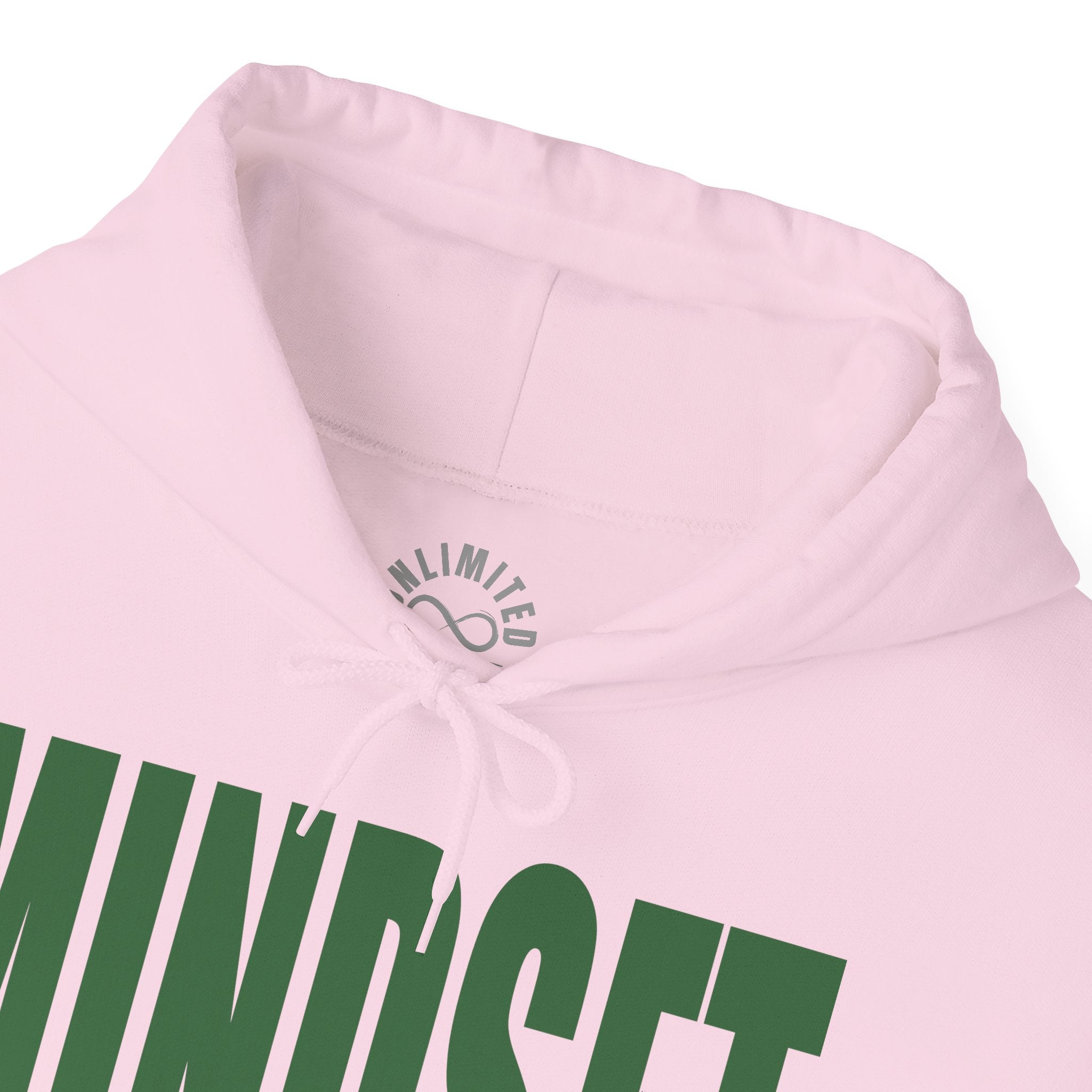 Mindset's Greek Divine 9 Inspired Hoodie