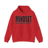 Mindset Trademarked Hoodie  (NFL Inspired Buccaneers' Edition)