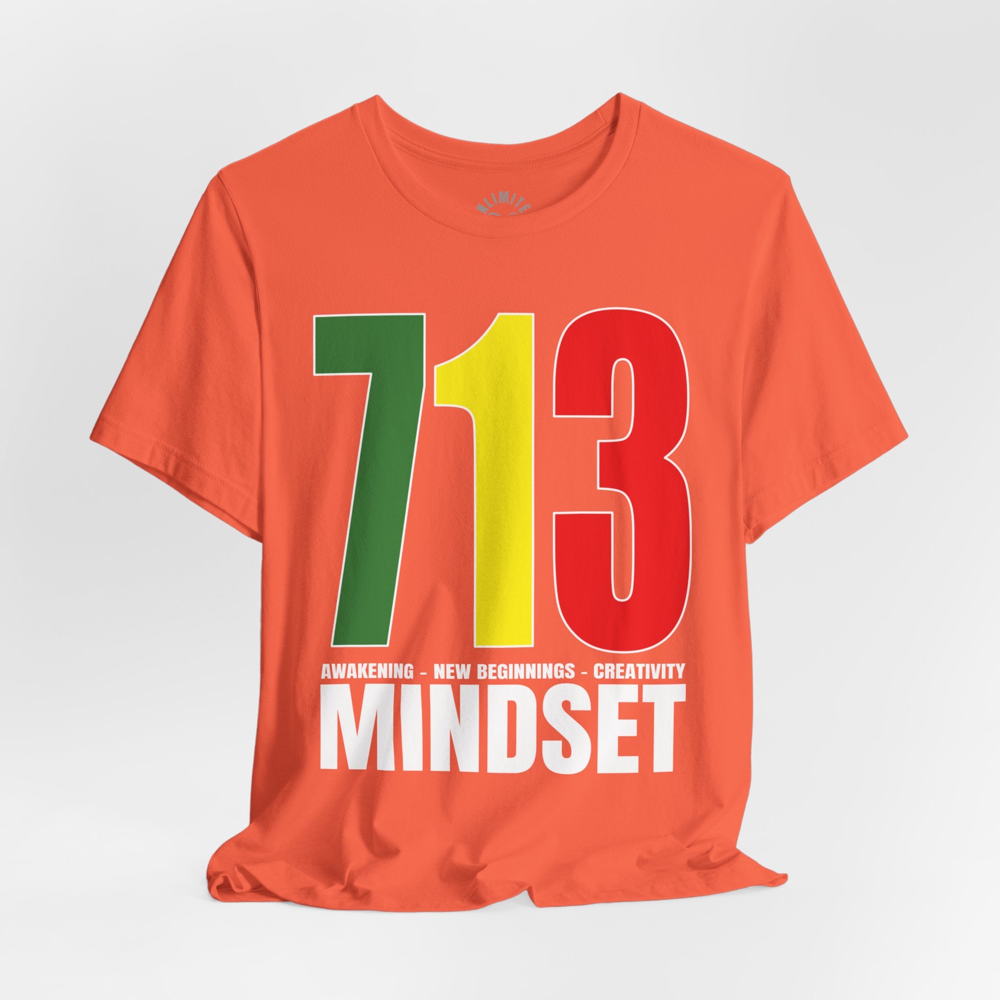 713 Mindset T-Shirt (GYR Logo)