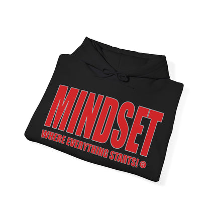 Mindset Trademarked Hoodie  (NFL Inspired Buccaneers' Edition)