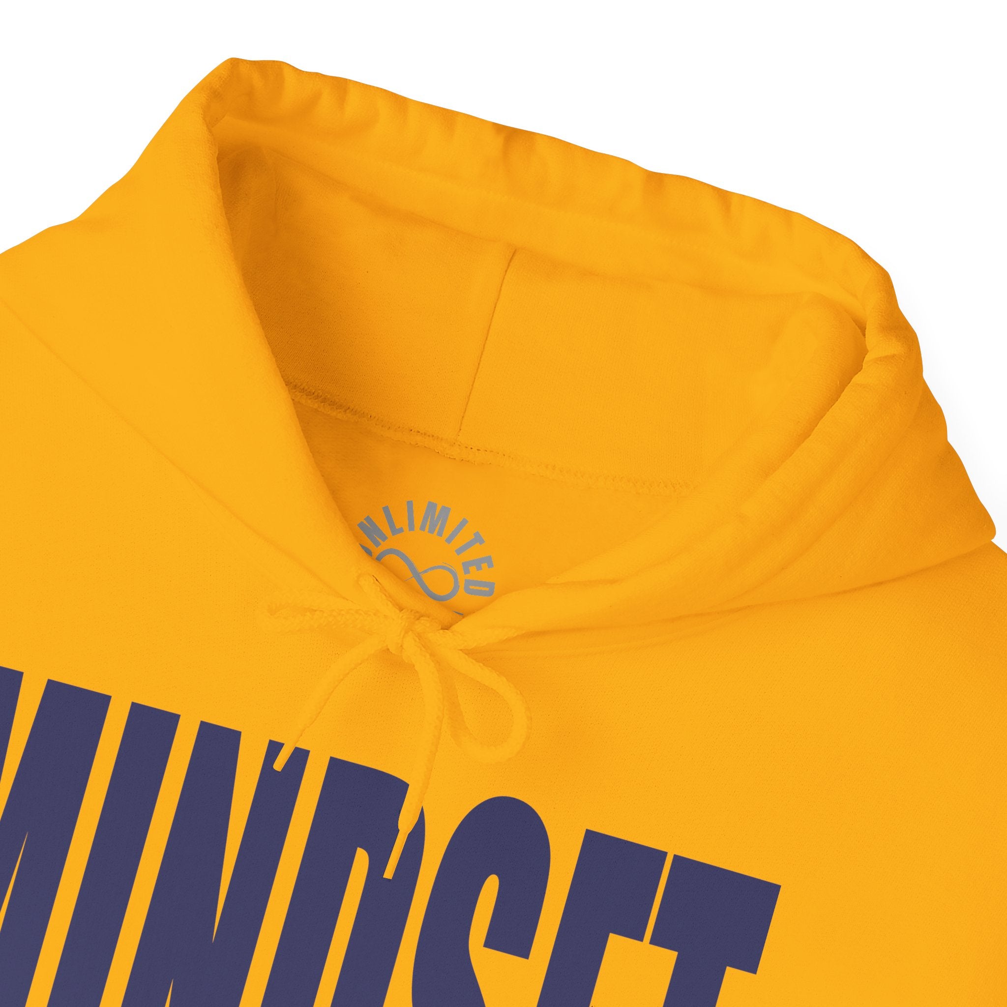 Mindset's Greek Divine 9 Inspired Hoodie