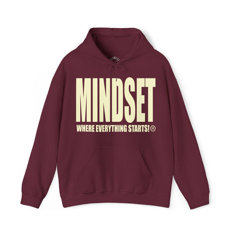 Mindset's Greek Divine 9 Inspired Hoodie